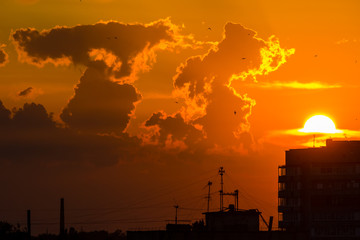 sunset with big sun and orange sky over the city