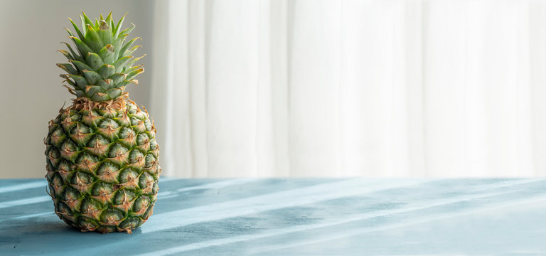 One Single Fresh Exotic Pineapple On Blue Wood Table Top With White Background For Copy Space 