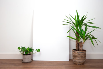 Modern interior, white wall with green plants on PVC floor against white wall with Blank empty poster or frame for text. Retro