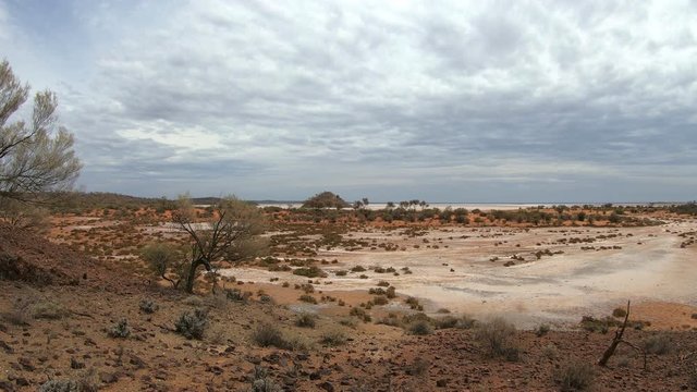 Hills on dry Salt Lake, Trees in the Wind, Round Hill, Lake Ballard, Menzies, Western Australia, Australia