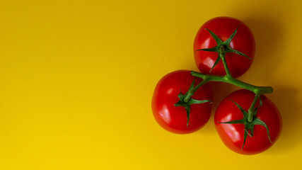 Three tomato on yellow background with green leafs. Horizontal photo at over top view