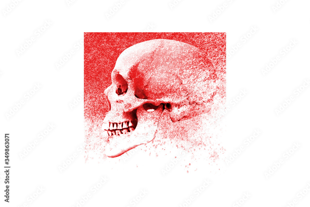 Poster red square print with human skull and texture isolated on white