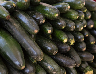 mature, delicious zucchini on the market counter