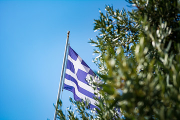 Greek flag flying in the wind, partially hidden by an olive tree on a sunny day.