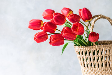 Red Tulips in a Basket