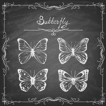 Set of hand drawn butterflies on the blackboard. Entomological collection of highly detailed hand drawn butterflies. Retro vintage style. Vector illustration. 