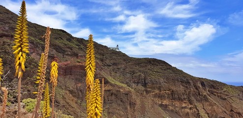 Yellow flowers with white lighthouse