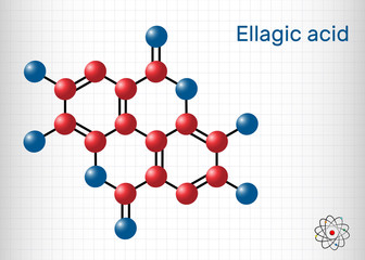 Ellagic acid, C14H6O8 molecule. It is natural phenol antioxidant, dietary supplement. Structural chemical formula and molecule model. Sheet of paper in a cage