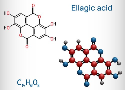Ellagic acid, C14H6O8 molecule. It is natural phenol antioxidant, dietary supplement. Structural chemical formula and molecule model. Vector illustration