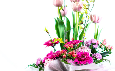 日本の美しい花