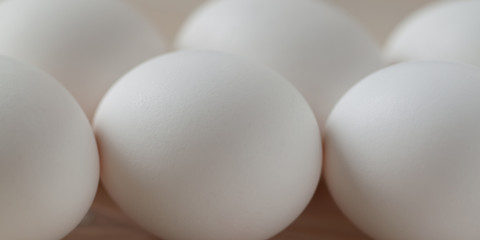 chicken white raw fresh eggs lie on a wooden surface