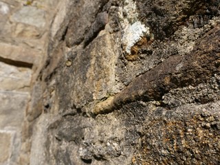 close up of a stone
