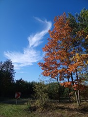 Jesień,chmura,niebo,charakter.