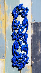 Blaue Eisenblumen
