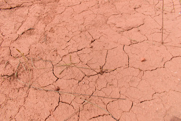 Desert soil covered with cracks. Color Petite Orchid, Hue Red. Dry stems. Deliberately blurred. Concept of drought, environmental disaster, rising land temperatures.