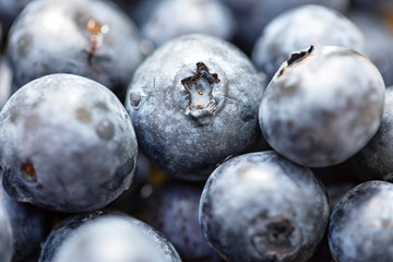 Blueberry berry closeup with blurry background