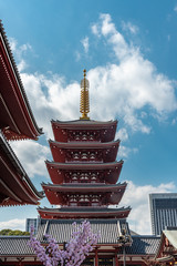 temple of asakusa