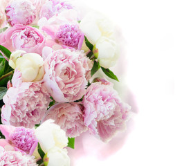 Fresh peony flowers