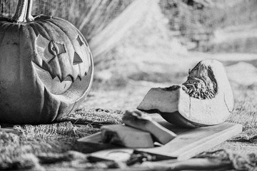 Black and white,  slightly blurred photo with strong grain effect. One laughing pumpkin watching on other sliced pumpkin. Halloween, artistic concept.