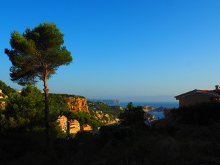 Fototapeta premium OLYMPUS DIGITAL CAMERA