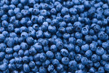 Fresh blueberry background. Texture blueberry berries close up.