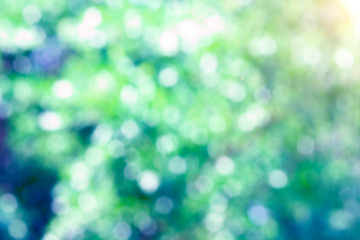 Abstract blurred nature green bokeh background.