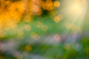 Obraz premium Abstract background of golden bokeh on a green background