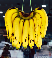 Hängende Bananen