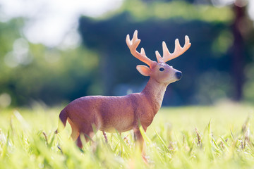 夏の公園の芝生においてある可愛い動物のフィギュア模型