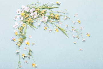 wild flowers on paper background