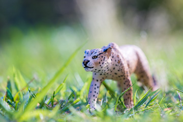 夏の公園の芝生においてある可愛い動物のフィギュア模型