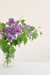 Lilac bouquet in glass jar on the white background