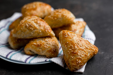 Asian cuisine. Homemade samsa with chicken, sesame and greens on a dark background. Top view side View. Space for text