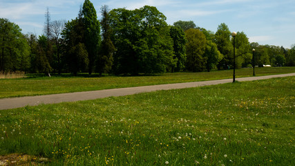 
Trees and alleys in the Świerklaniec park. Free entry space