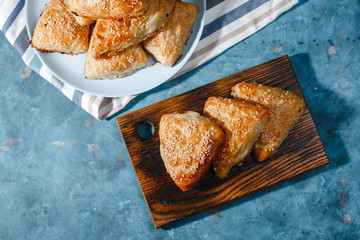 Asian cuisine. Homemade samsa with chicken, sesame and greens on a dark background. Top view side View. Space for text