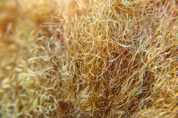 Hair super closeup abstract photo.