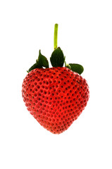 red strawberry on white background