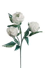 Artificial white rose on white background