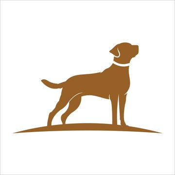 Dog Logo Designs Template. Pet logo designs
