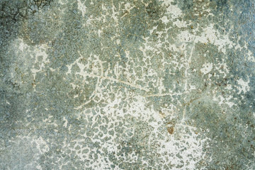 Greenish textured background and old concrete wall, a fragment. Cracks and spots