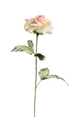 Artificial yellow rose on white background