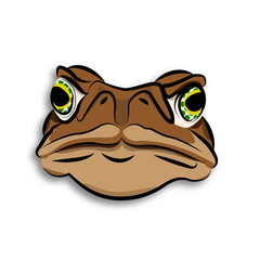 Fototapeta premium Angry toad