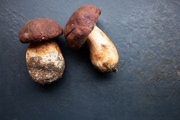 Autumn background with forest mushrooms. Mushroom boletus on dark table. Autumnal composition with cep mushrooms boletus on dark background close up. Cooking mushroom, copy space