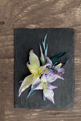 Artificial flower in female hand on wooden table
