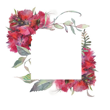 watercolor flower frame with red bouquets of Turkish carnation flowers with buds and leaves