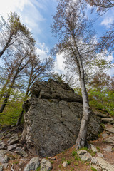 Wandern zum Turm am Hirschenstein im Bayerischen Wald