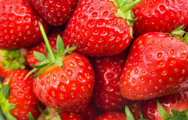 Close up of plump ripe fresh strawberries in a white bowl on a plain white background.