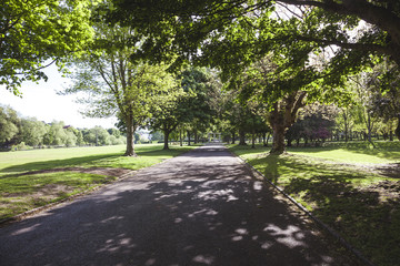 path in the park
