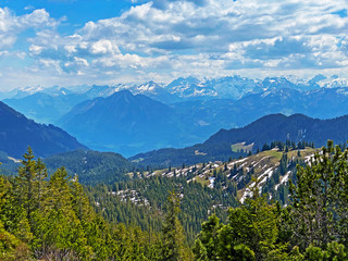 Evergreen forest or coniferous trees on the slopes of the Pilatus massif and in the alpine valleys...