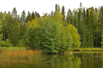 Fototapeta na wymiar Picturesque shore of forest Joutsenlampi lake. Suomi